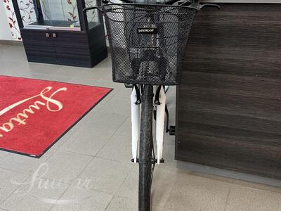 Jalgratas Classic Zoom 21