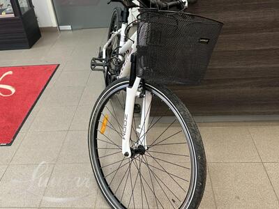 Jalgratas Classic Zoom 21