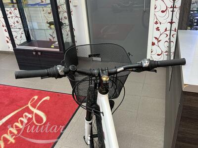 Jalgratas Classic Zoom 21