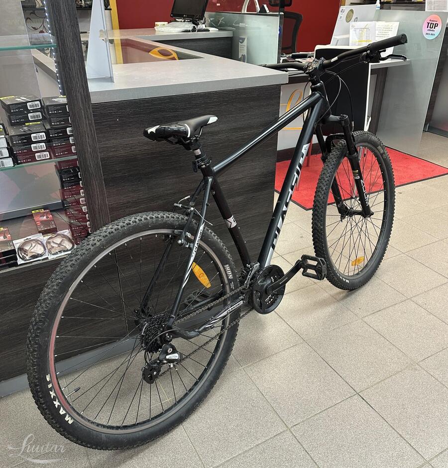 Jalgratas Classic TEAM 29 24k