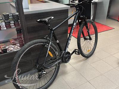 Jalgratas Classic TEAM 29 24k