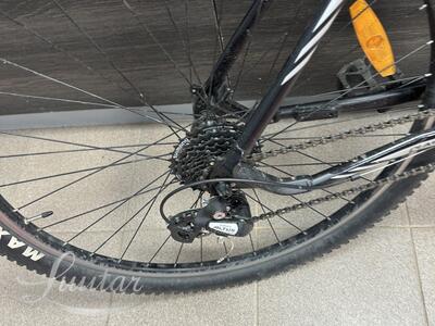 Jalgratas Classic TEAM 29 24k