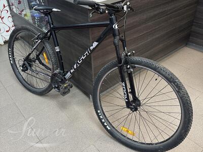 Jalgratas Classic TEAM 29 24k