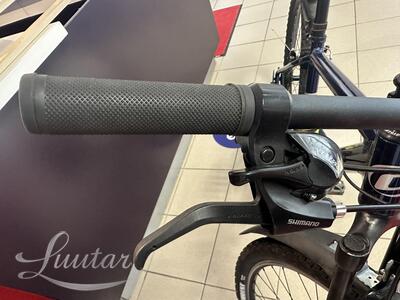 Jalgratas Classic Team Alu 29