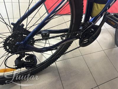 Jalgratas Classic Team Alu 29