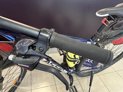 Jalgratas Classic Team Alu 29