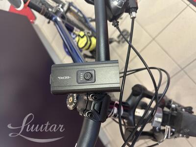 Jalgratas Classic Team Alu 29