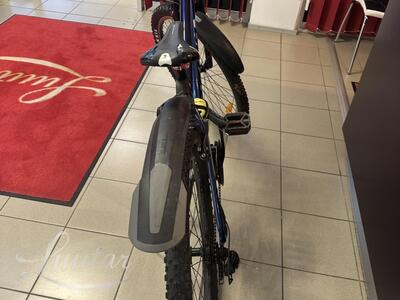 Jalgratas Classic Team Alu 29