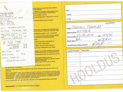 Jalgratas Classic Team Alu 29