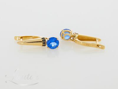 Kuldkõrvarõngad 585*