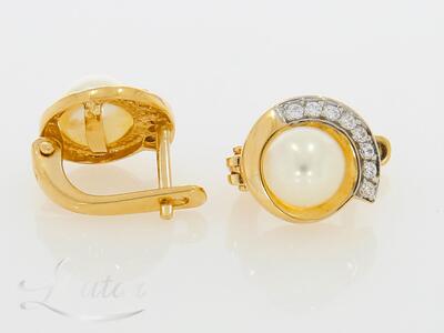 Kuldkõrvarõngad 585*