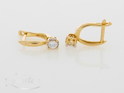 Kuldkõrvarõngad 585*