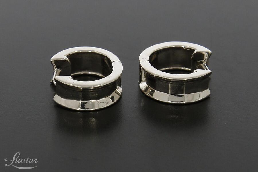 Hõbekõrvarõngad 925*