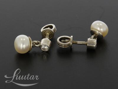 Hõbekõrvarõngad + kulon 925*