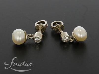 Hõbekõrvarõngad + kulon 925*