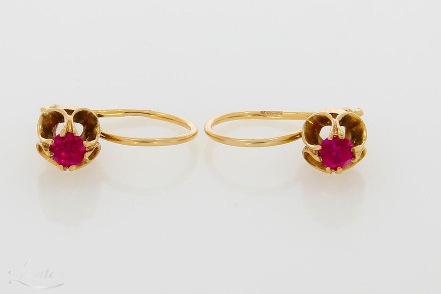 Kuldkõrvarõngad 583*