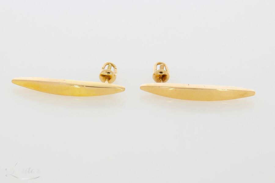 Kuldkõrvarõngad 585*