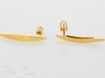 Kuldkõrvarõngad 585*