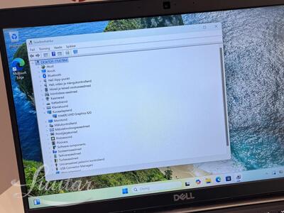 Sülearvuti Dell Latitude 7390