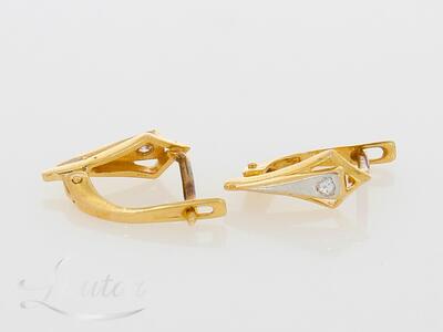 Kuldkõrvarõngad 585*