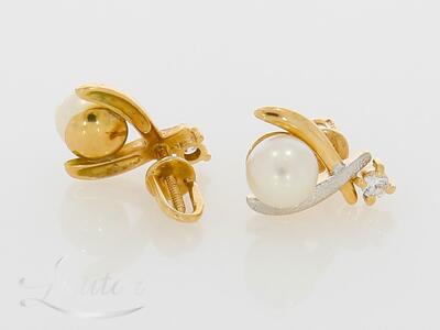 Kuldkõrvarõngad 585*