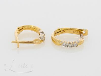 Kuldkõrvarõngad 585*