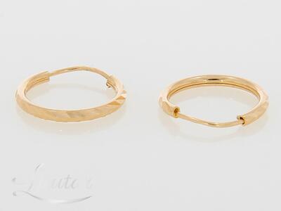 Kuldkõrvarõngad 585*