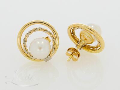 Kuldkõrvarõngad 585*