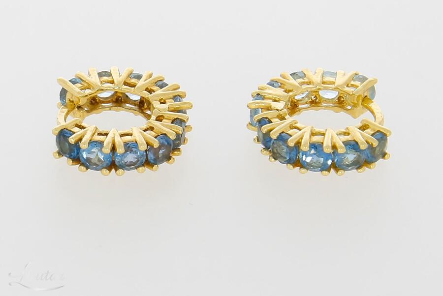 Kuldkõrvarõngad 585*