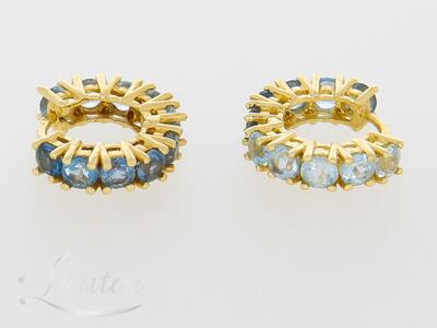 Kuldkõrvarõngad 585*