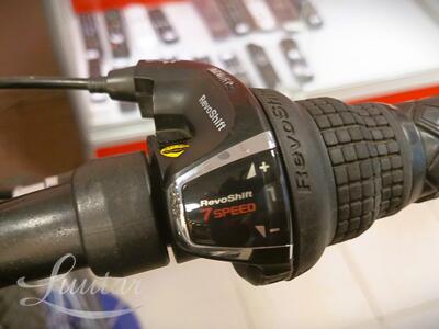 Jalgratas Louke Eastwind