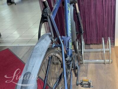 Jalgratas Bottecchia Lite Cross 310