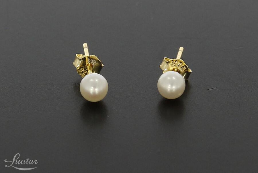 Hõbekõrvarõngad 925* UUED!