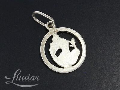 Hõbe kulon 925* Veevalaja