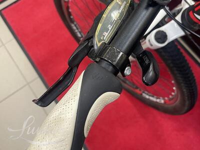 Jalgratas Monteria MTB 6508