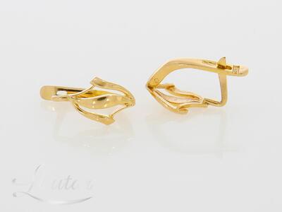 Kuldkõrvarõngad 583*