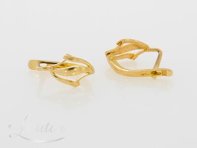 Kuldkõrvarõngad 583*