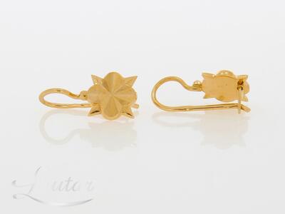 Kuldkõrvarõngad 585*