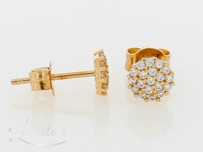 Kuldkõrvarõngad 585*