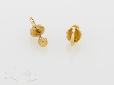 Kuldkõrvarõngad 583*