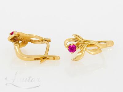 Kuldkõrvarõngad 583*