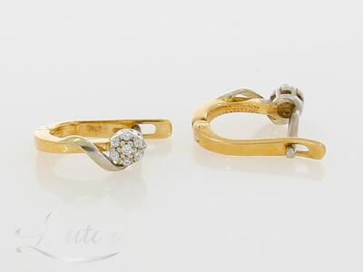 Kuldkõrvarõngad 585*