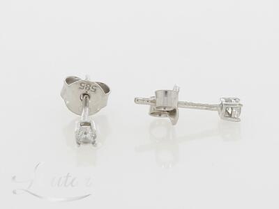 Kuldkõrvarõngad 585*