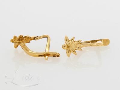 Kuldkõrvarõngad 583*