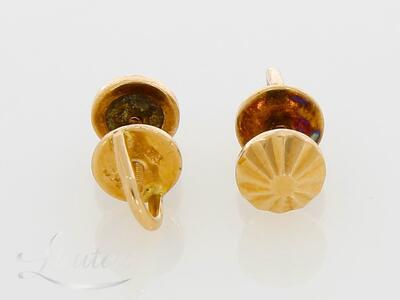 Kuldkõrvarõngad 583*