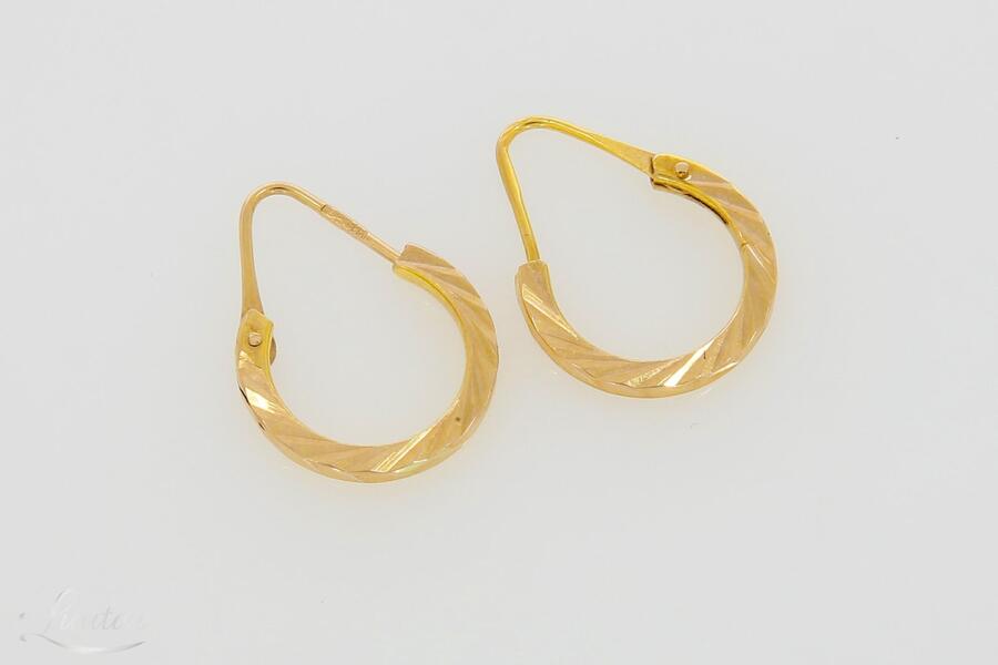 Kuldkõrvarõngad 585*