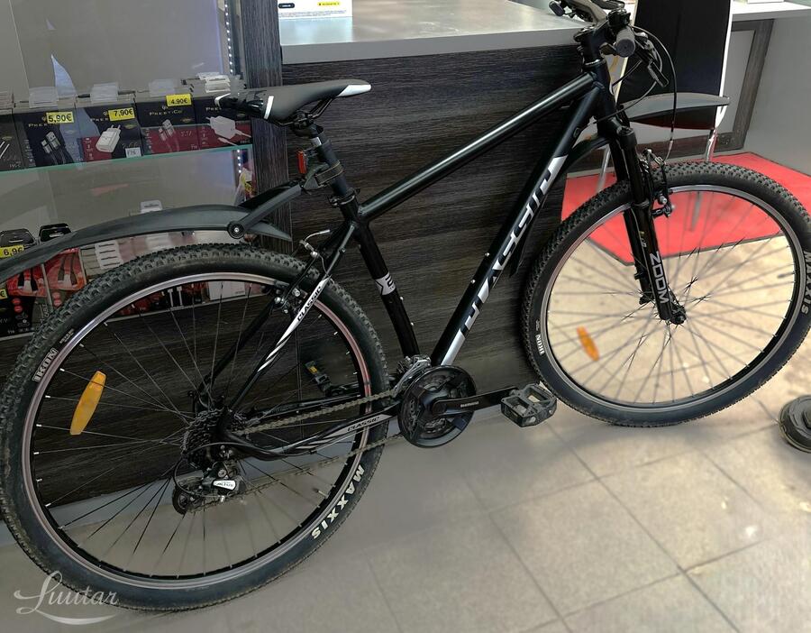 Jalgratas Classic TEAM 29 24k L