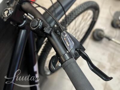 Jalgratas Classic TEAM 29 24k L