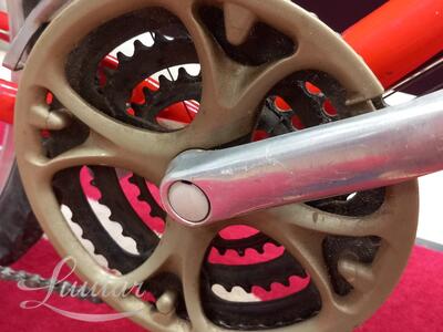 Jalgratas Scott Timber 26