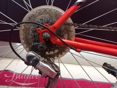 Jalgratas Scott Timber 26